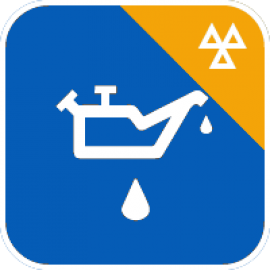Interim Service and MOT